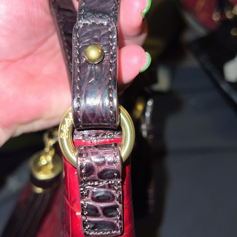 Brahmin - Picture 5 of 9